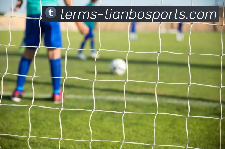 天博体育服务体系